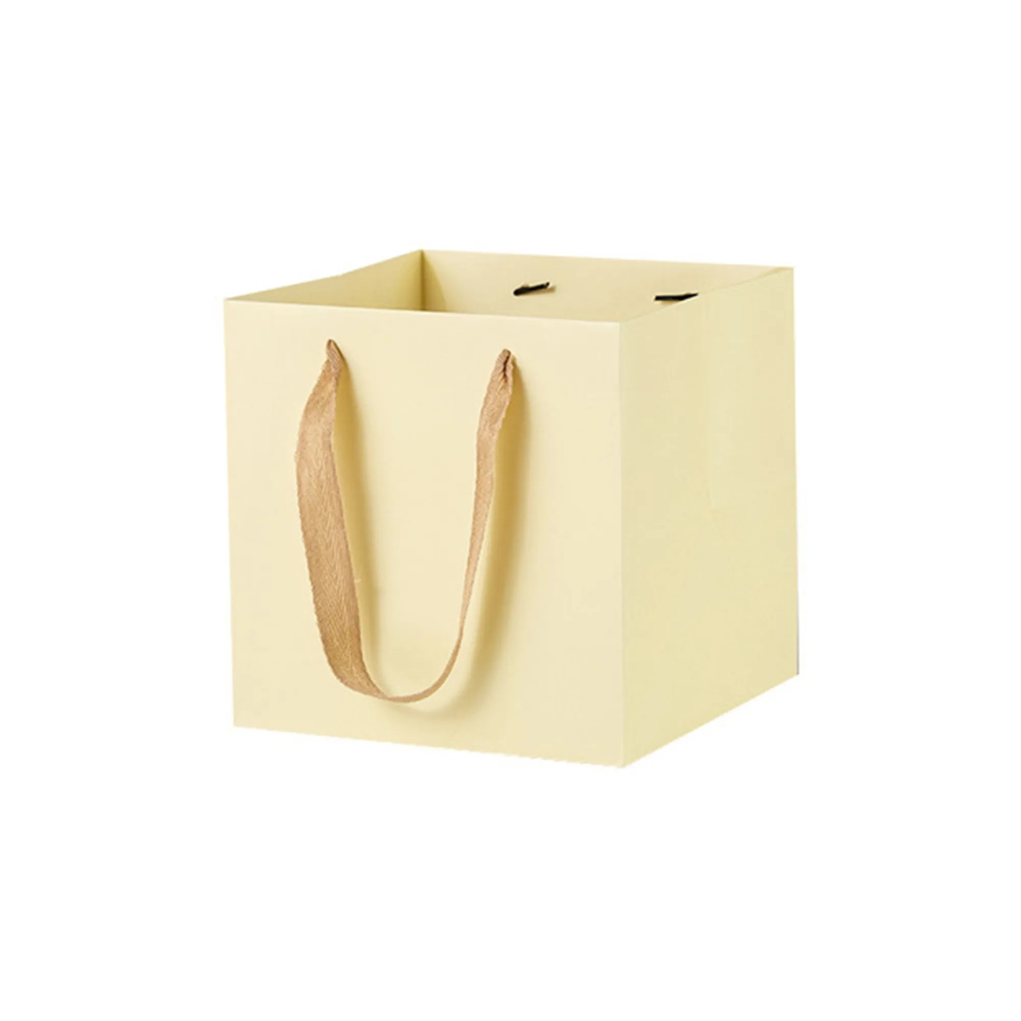 Vibrant Square Paper Gift Bags for Presents With Handles 4