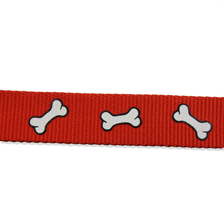 Pet Belt/ Slip Leash 2