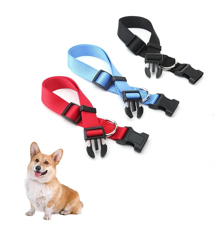 Nylon Dog Collar 4