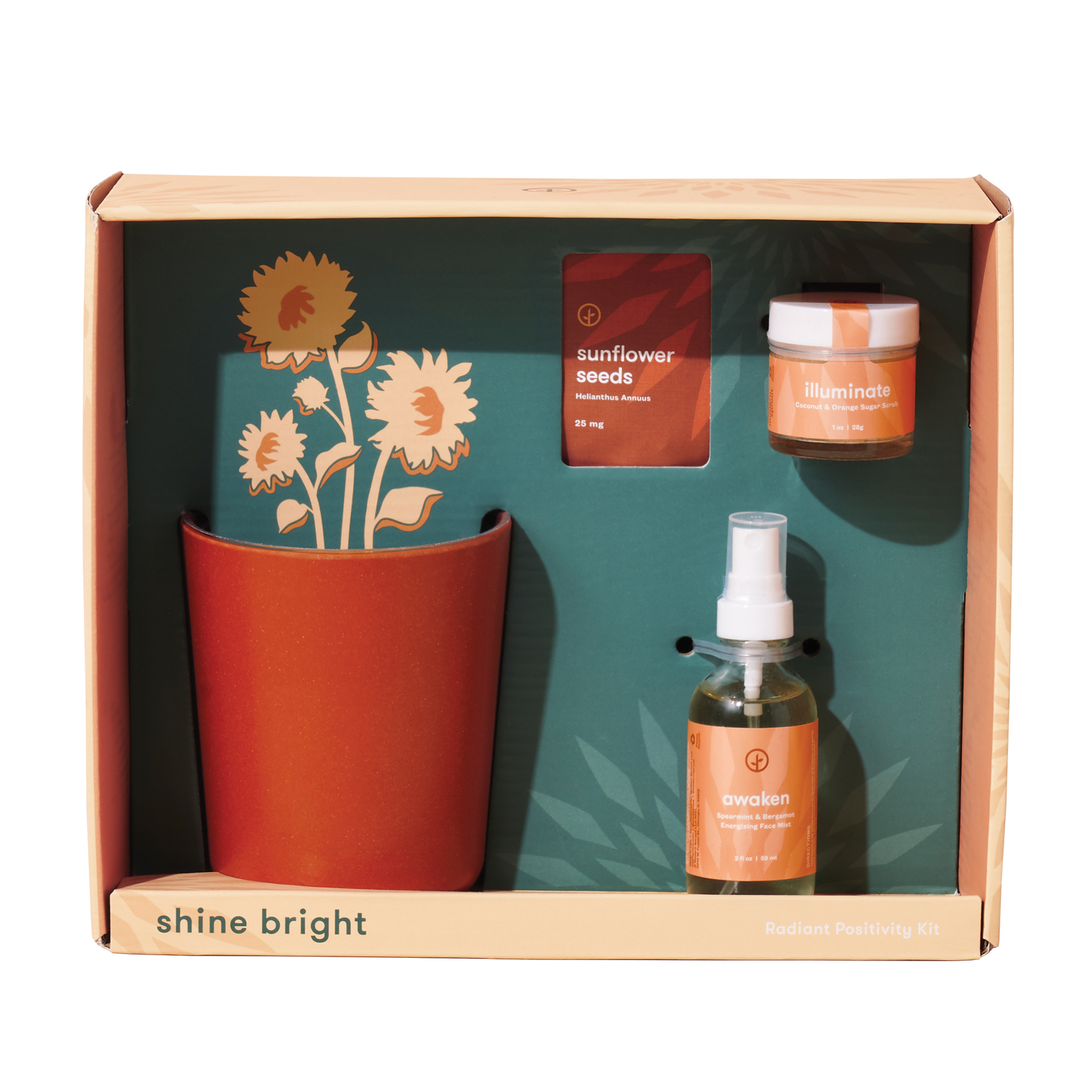 Modern Sprout® Shine Bright Take Care Kit - Sunflower