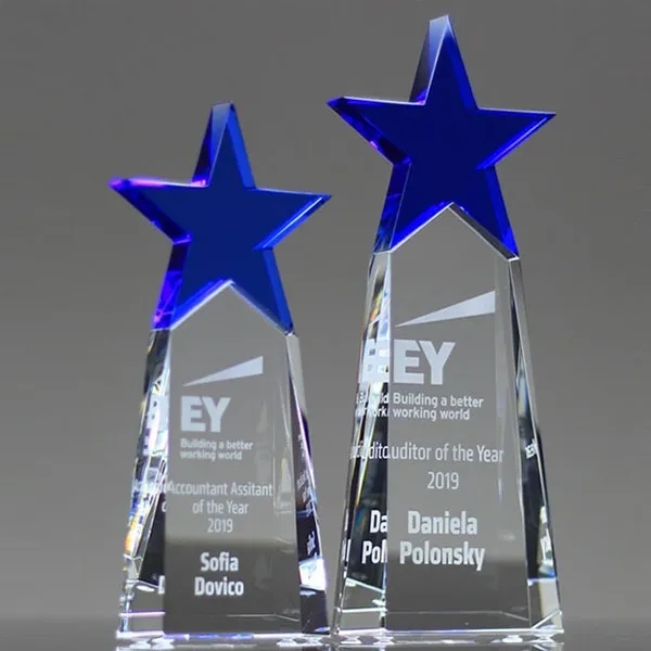 Top Star Crystal Award Trophy 7