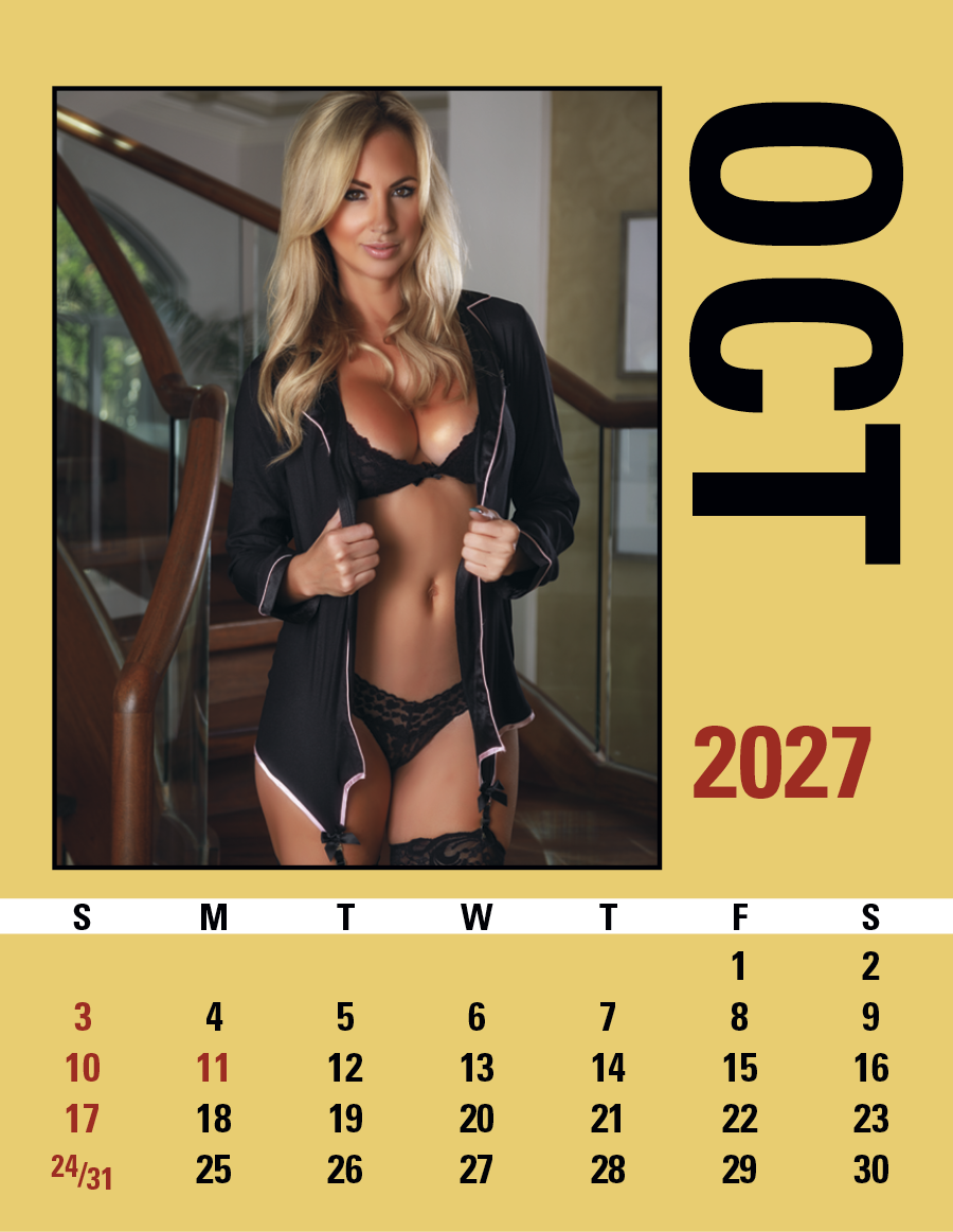 Triumph® Calendars Press-N-Stick Maiden America Calendar 12