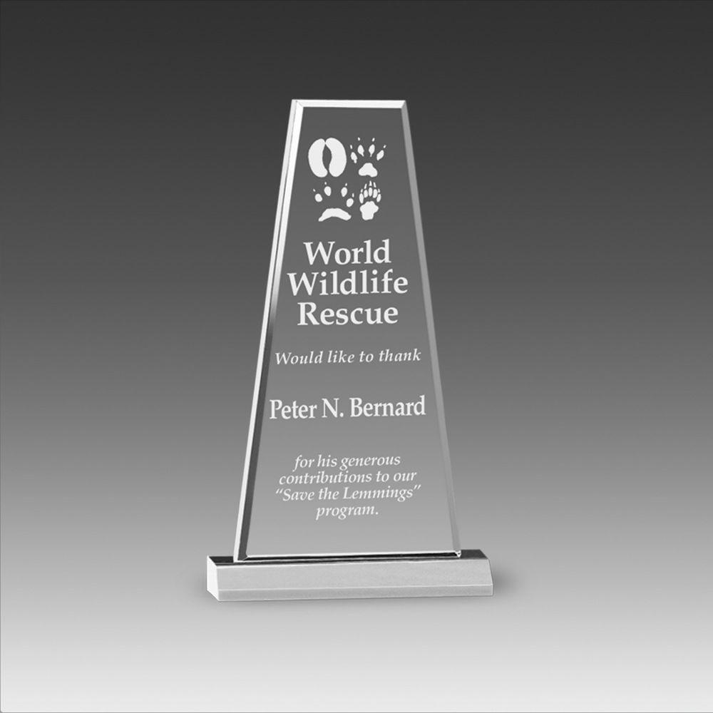 Premium Prism Award (6"x10") 1