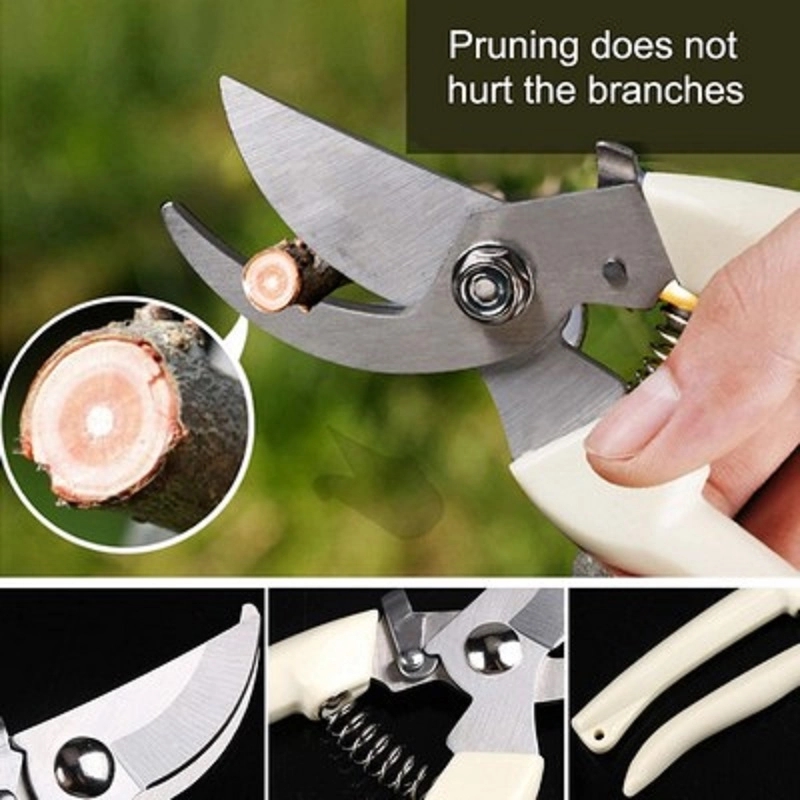 Garden Scissors 3