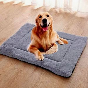 Pet Mat 4