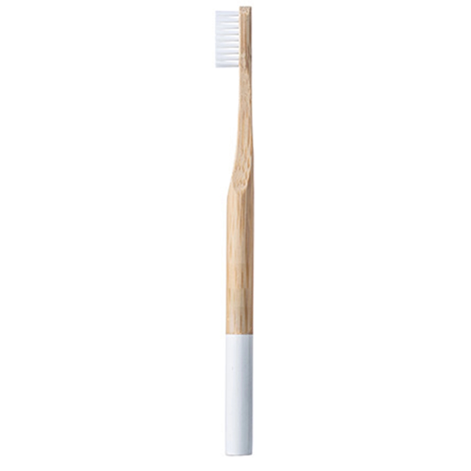 Round Toothbrushes 4