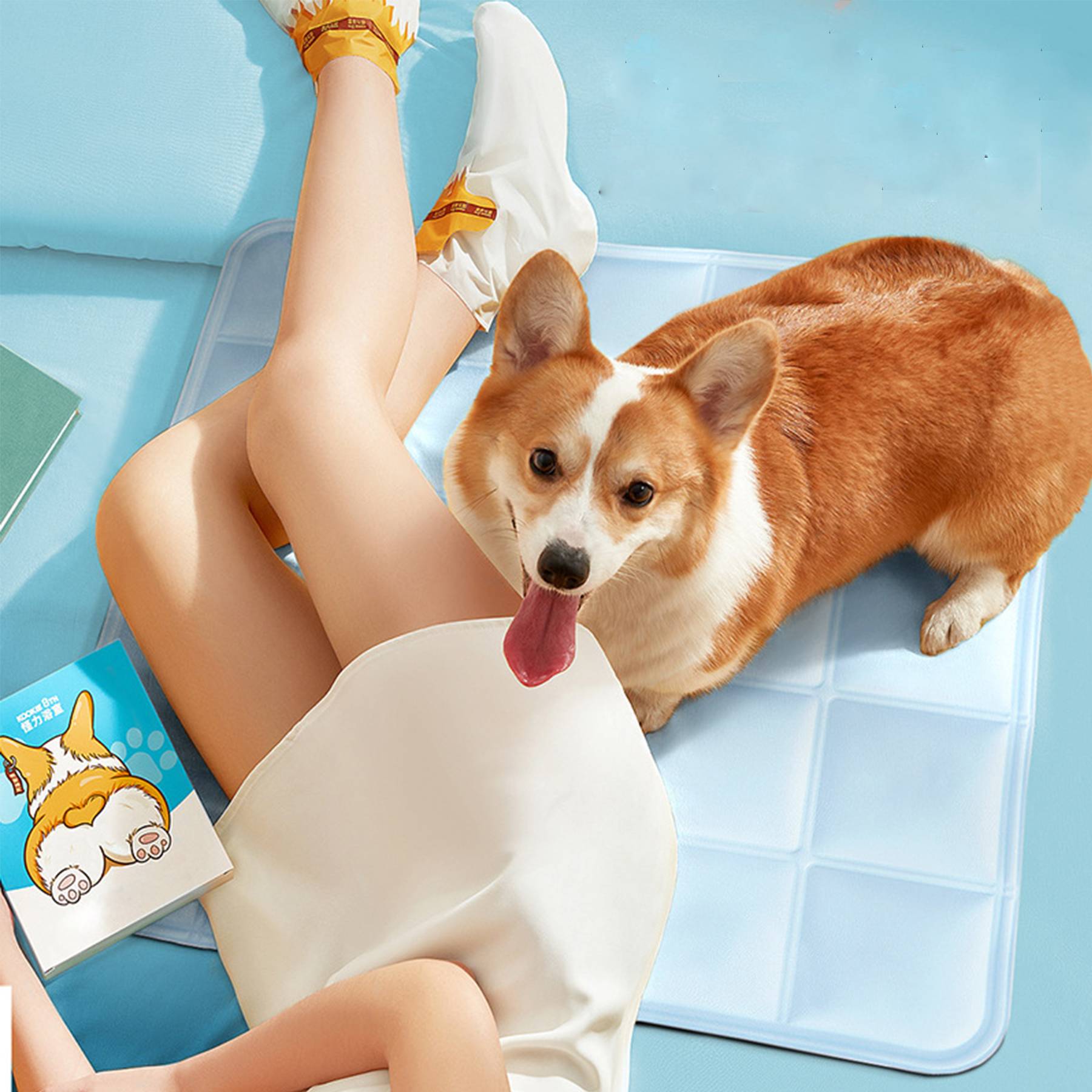 Pvc Pet Ice Pad 4