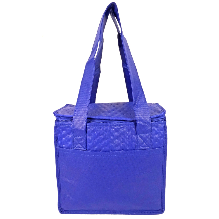 Denali Insulated Convenient Cooler 10