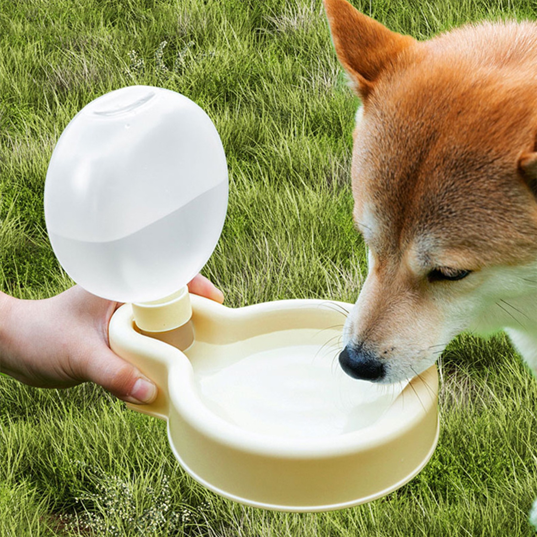 2-In-1 Pet Watering Trough Meets Drinking Cup 3