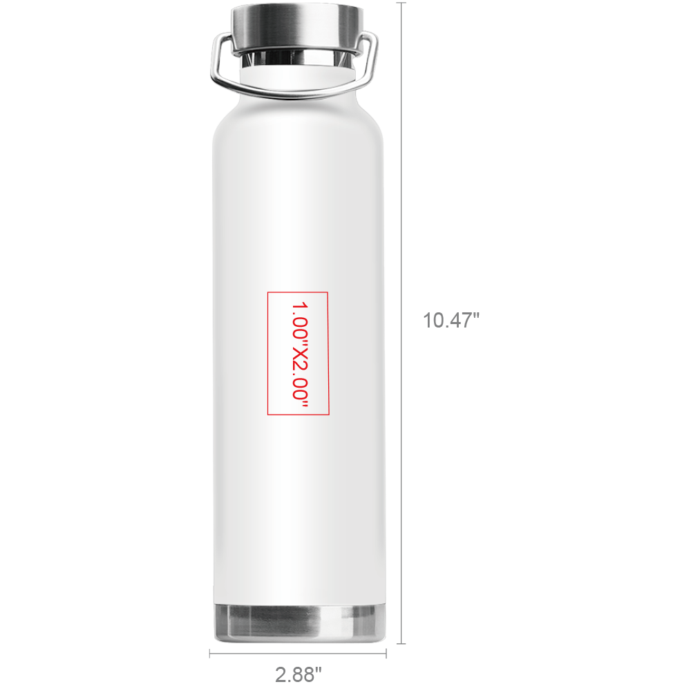 Owens 22oz Stainless Steel Water Bottle