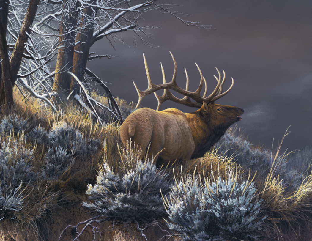 Good Value™ Wildlife Canvas - Stapled Calendar 32