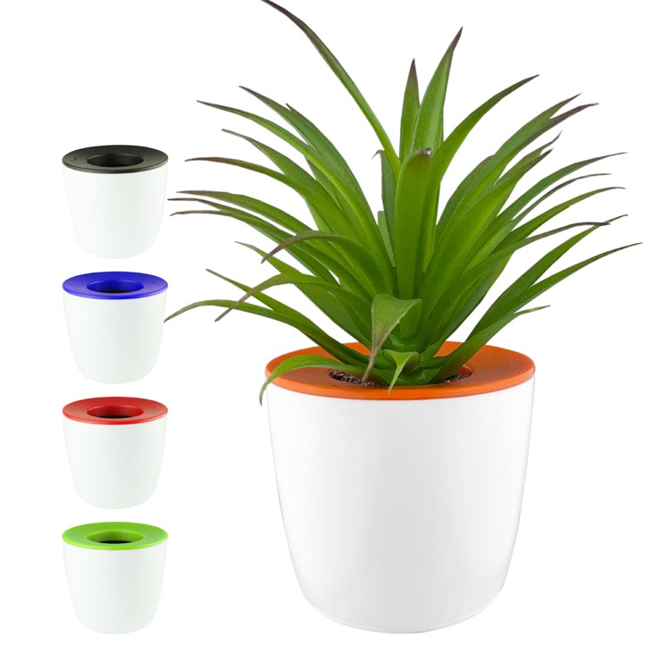 Mini Desk Plant Pot 3