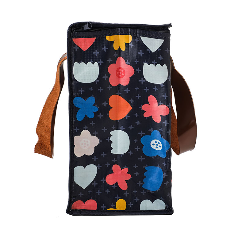 Cooler Bags 2