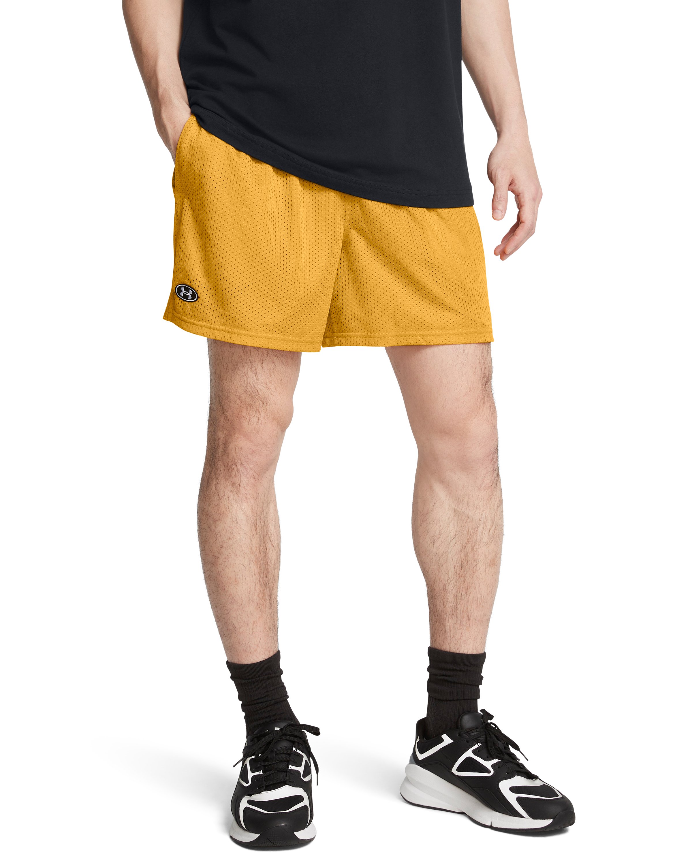 UA Icon Mesh Men's 5 Shorts 5