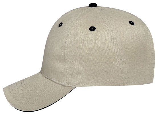 OTTO CAP 6 Panel Low Profile Baseball Cap 7