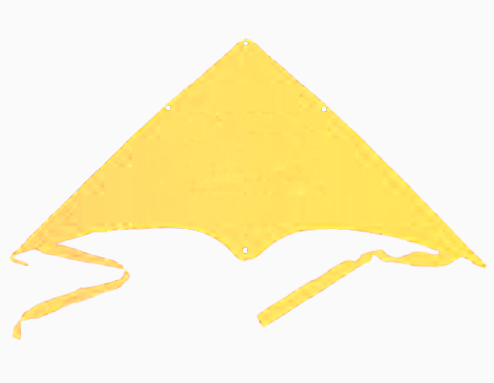 Delta Jumbo Kite 3
