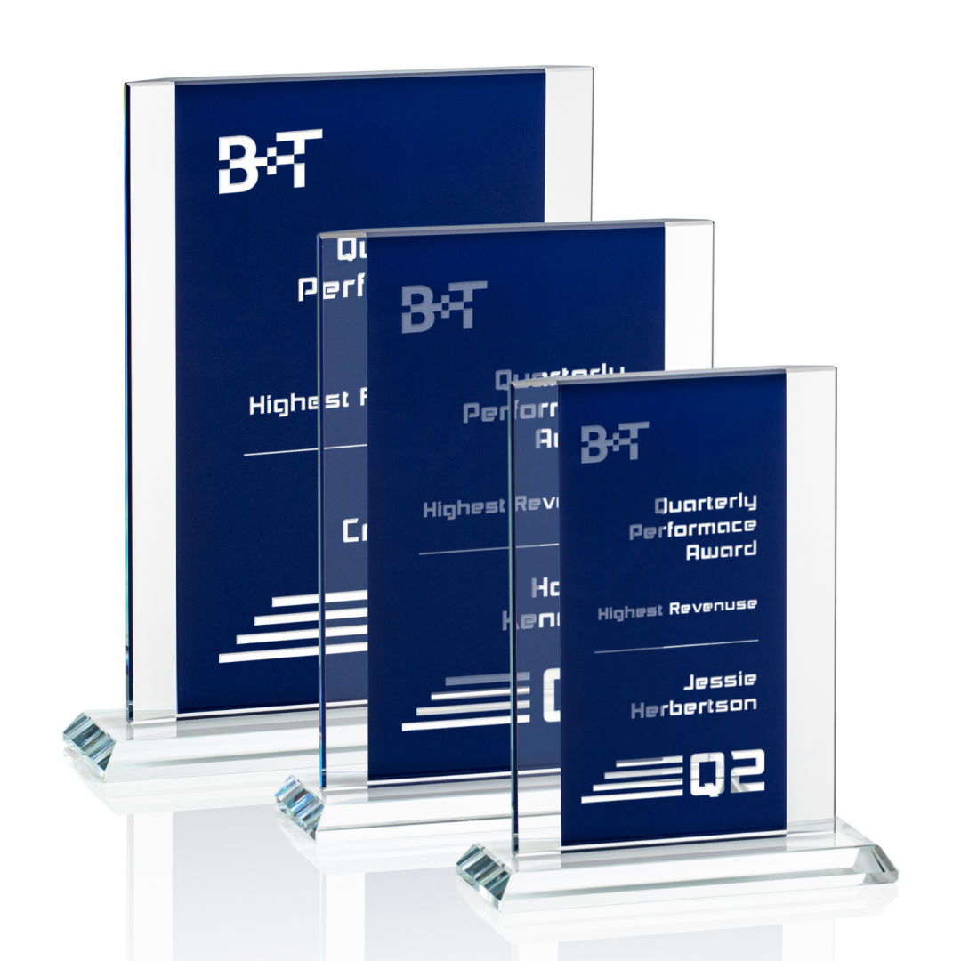 Tameside Award - Blue