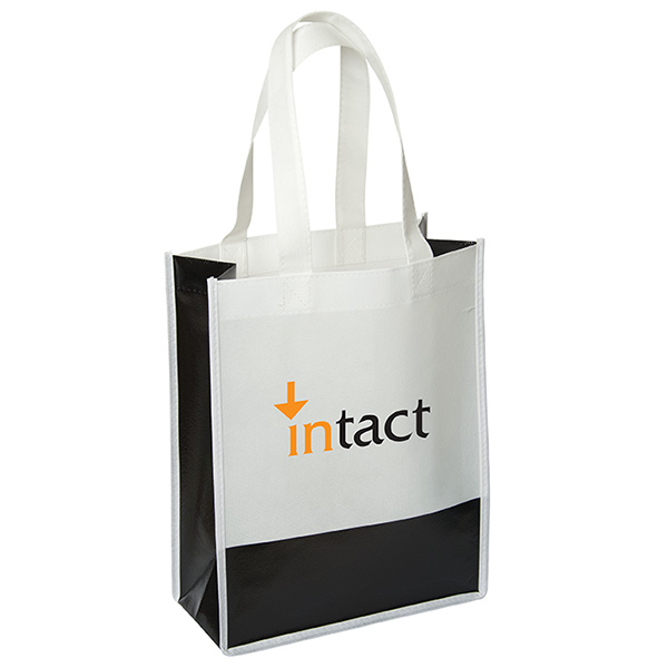 Andover Way Small Laminated Bag 9