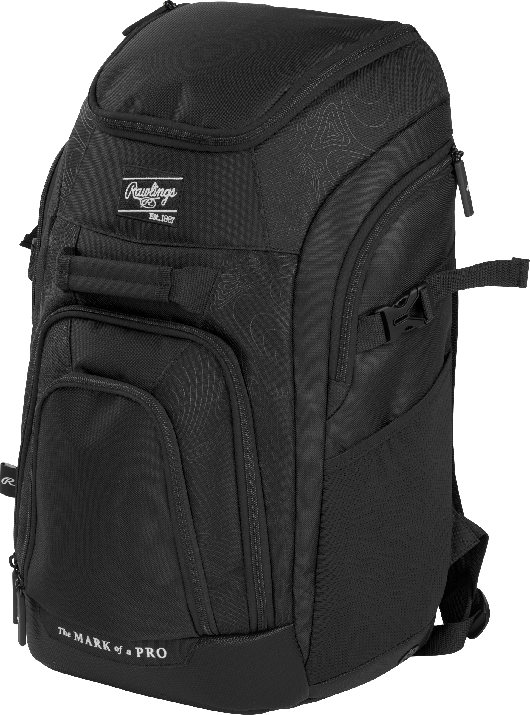 Rawlings Franchise 2 Bag 5