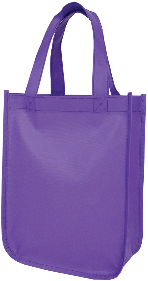 Cosmo Small Matte Laminated Tote 3
