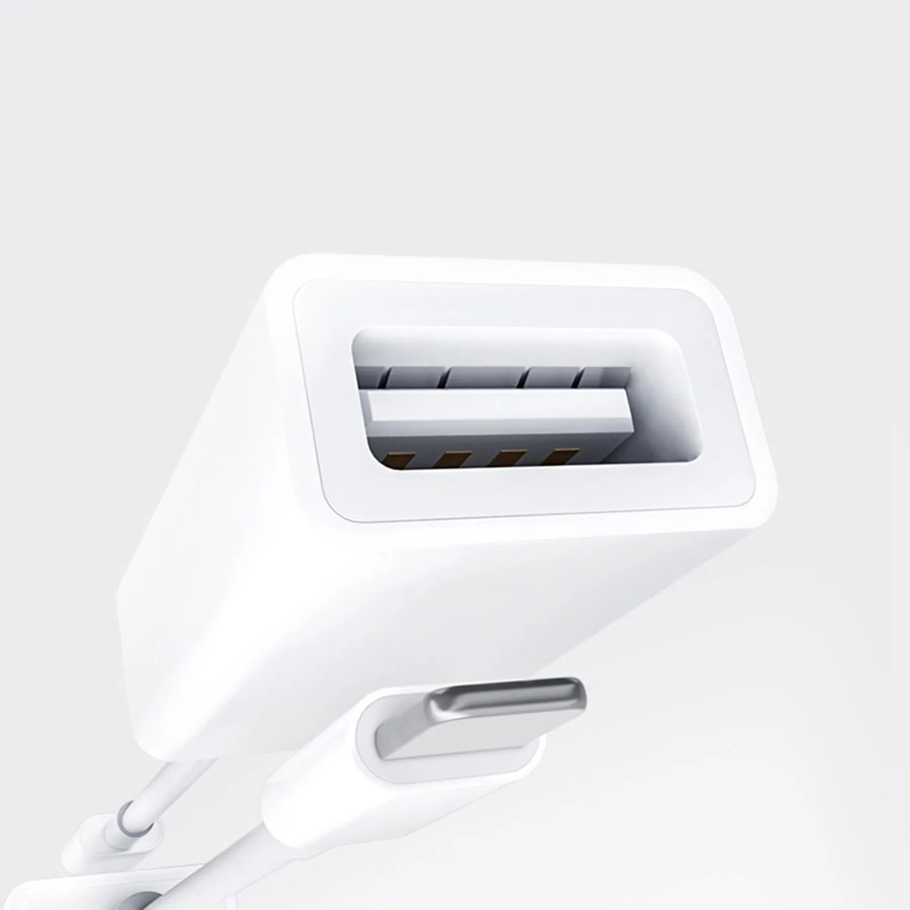 OTG Adapter 1