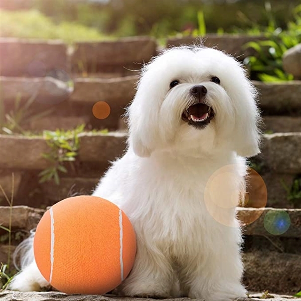 9.5" Inflatable Giant Pet Tennis Balls 7