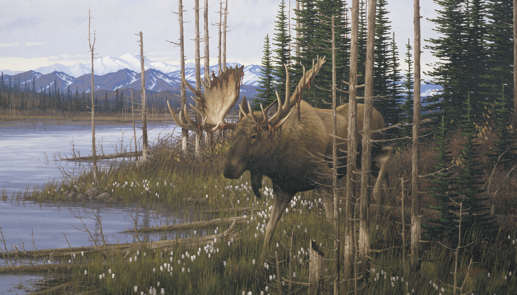 Triumph® Calendars Wildlife Art Calendar 14