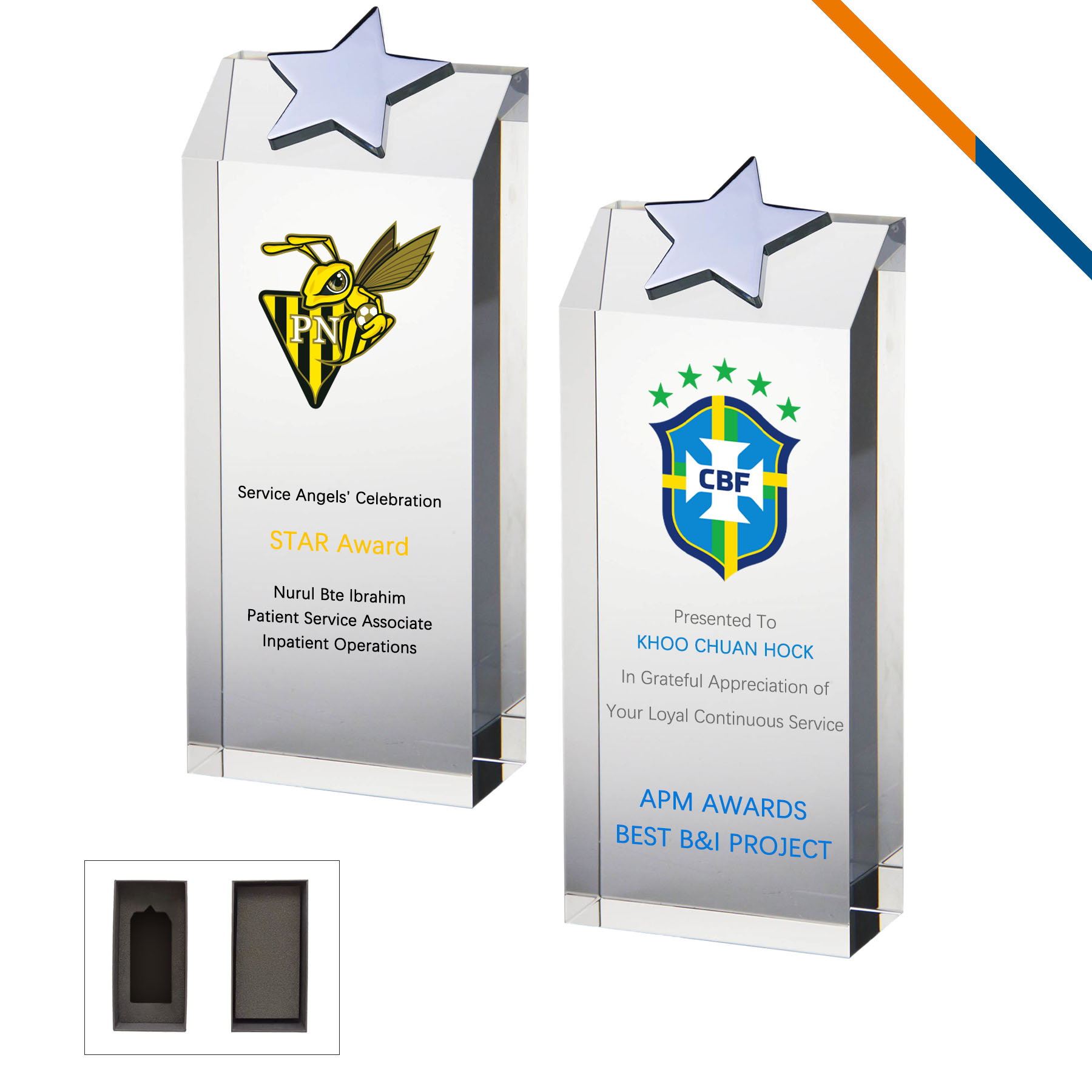 Terus Star Topped trophy 2