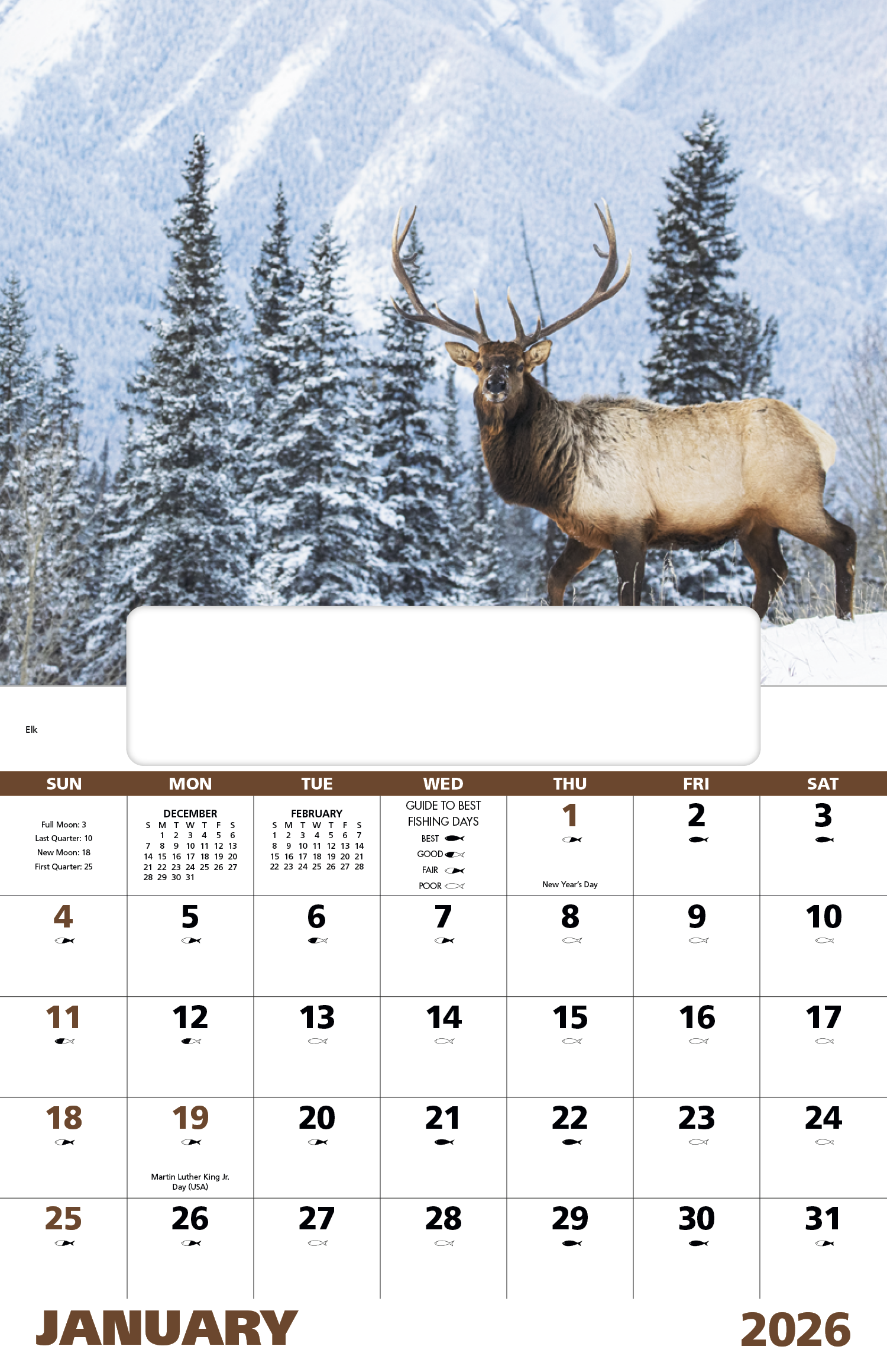 Good Value™ Wildlife Portraits - Window Calendar 4
