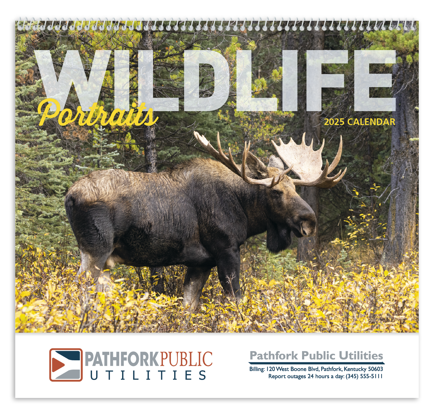 Good Value™ Wildlife Portraits - Spiral Calendar 1