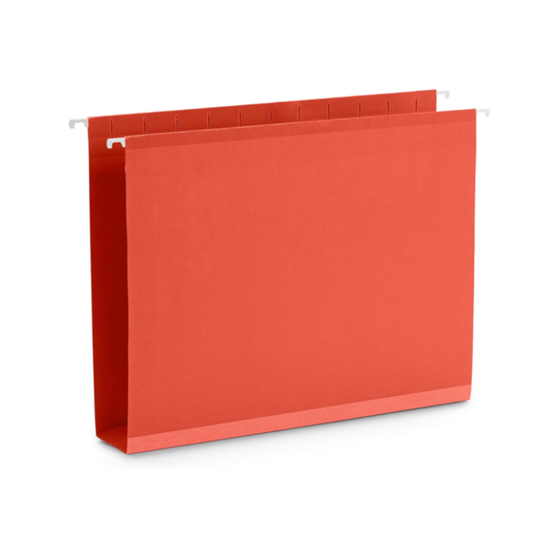 Hanging File Folder 2