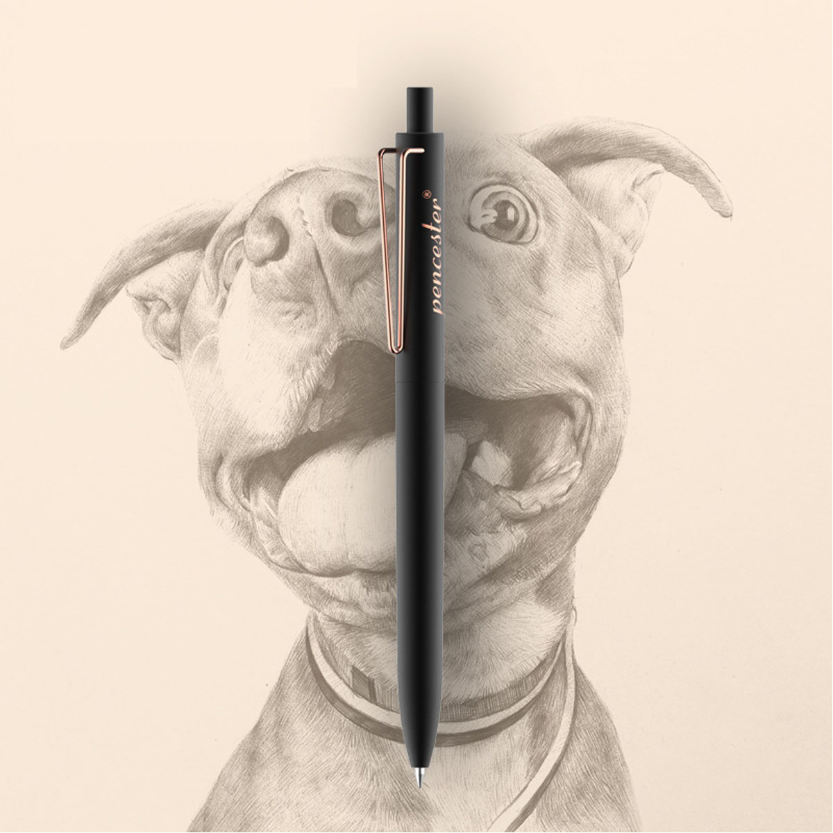 Elegant Ballpiont pen 4