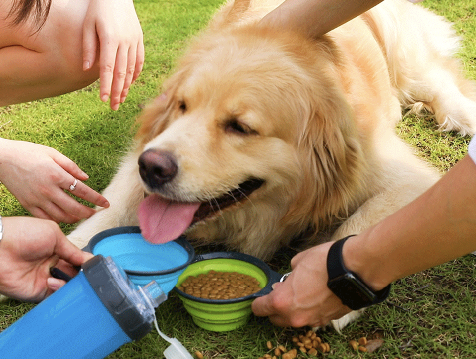 Dual-Purpose Pets Cup 3