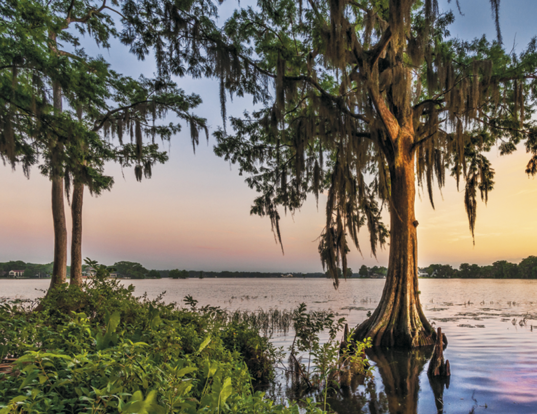 HotLine® Products Contemplations Appointment Calendar - Spiral 36