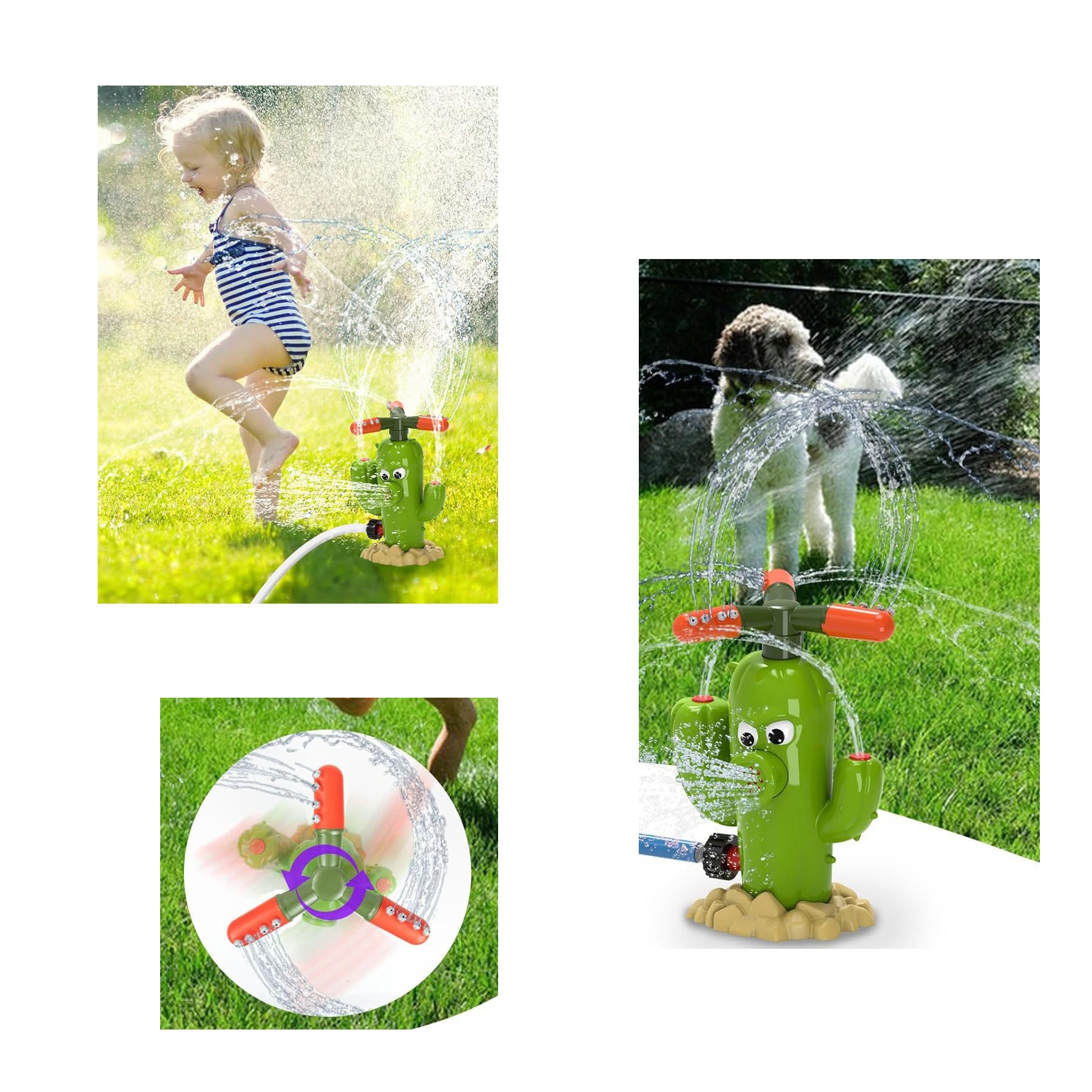 Rotary Cactus Garden Splash Toy 2