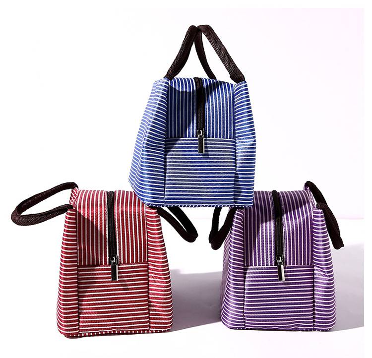 Oxford Cooler Insulated Lunch Bag 4