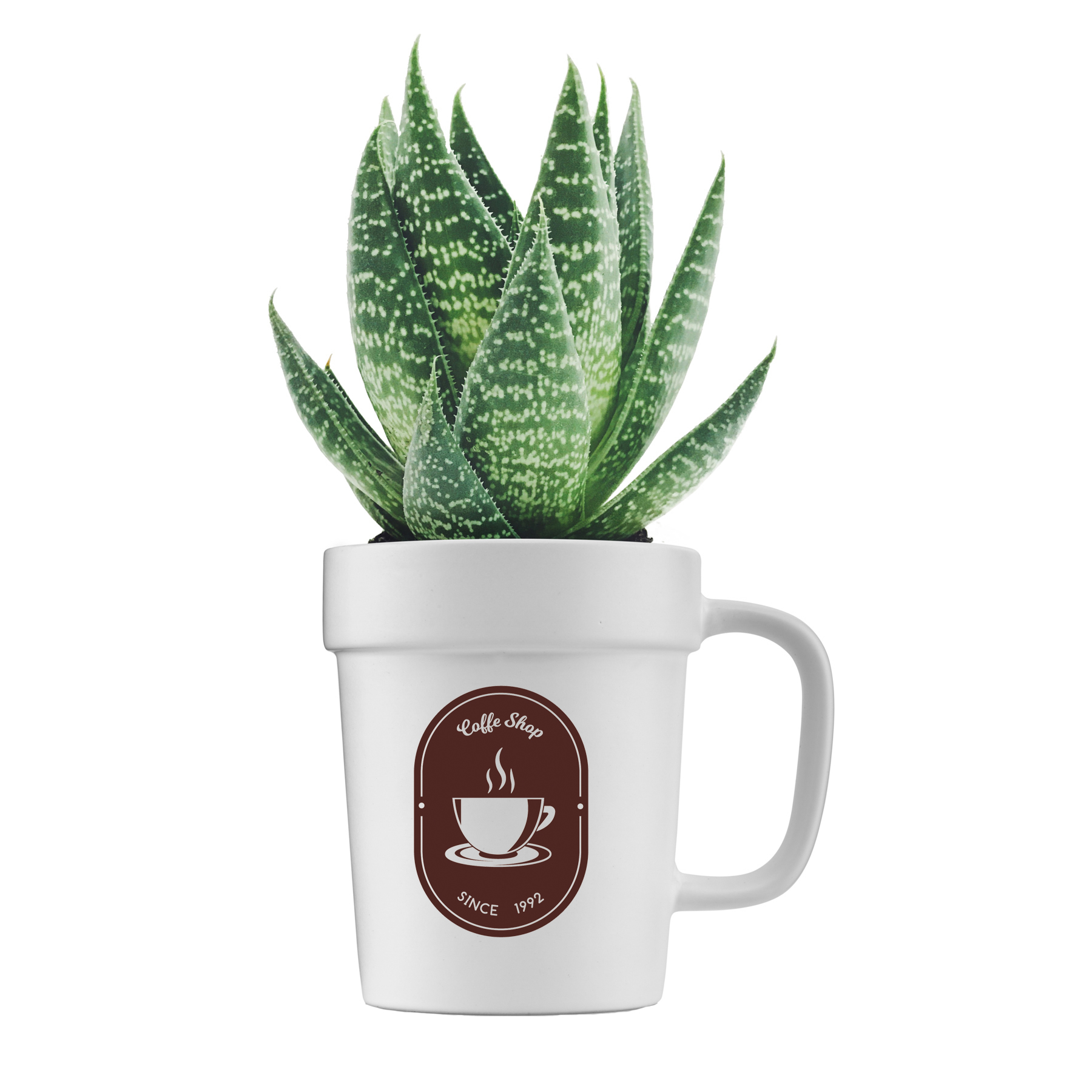 16 oz Planter Mug 3