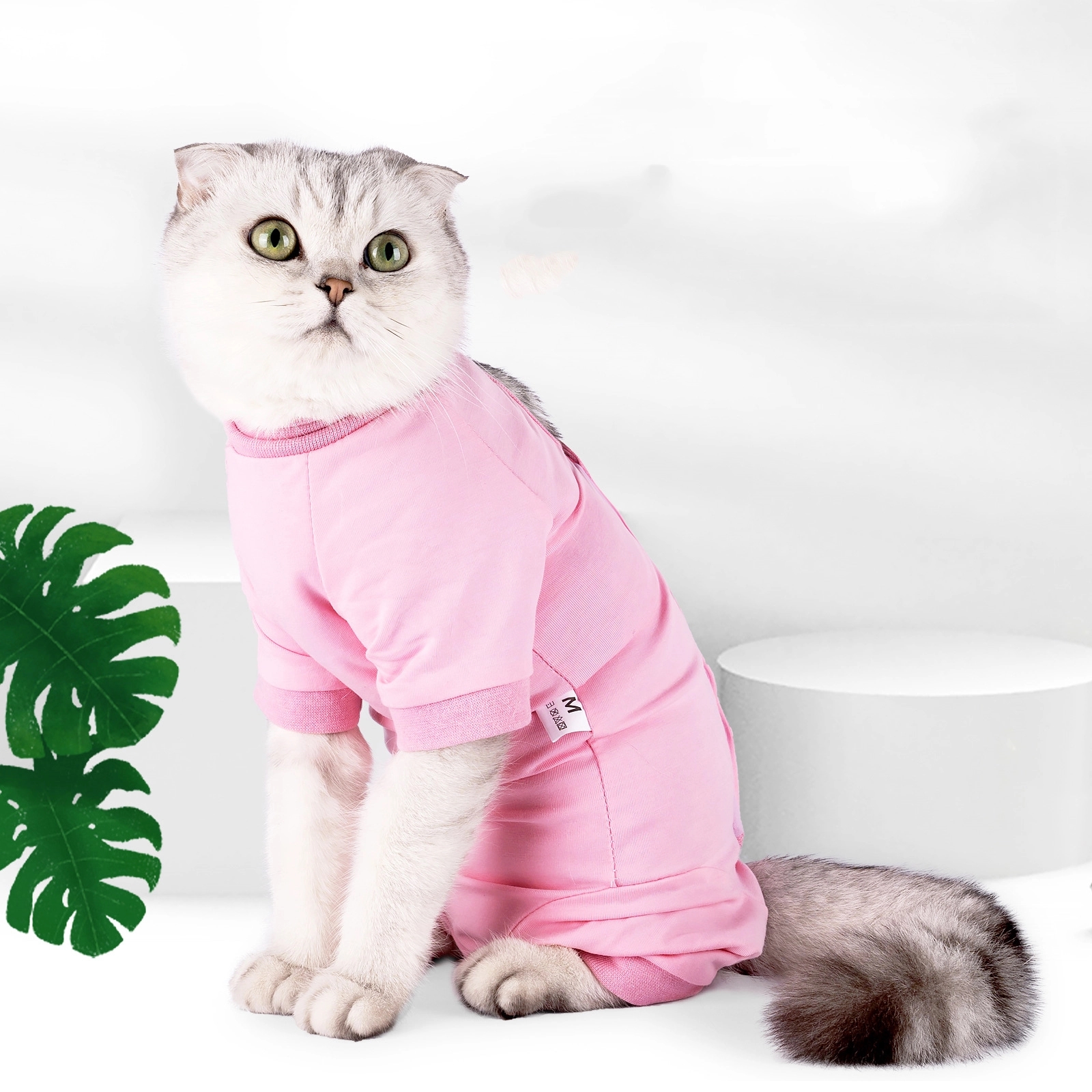 Cat Postoperative Recovery Suit 5