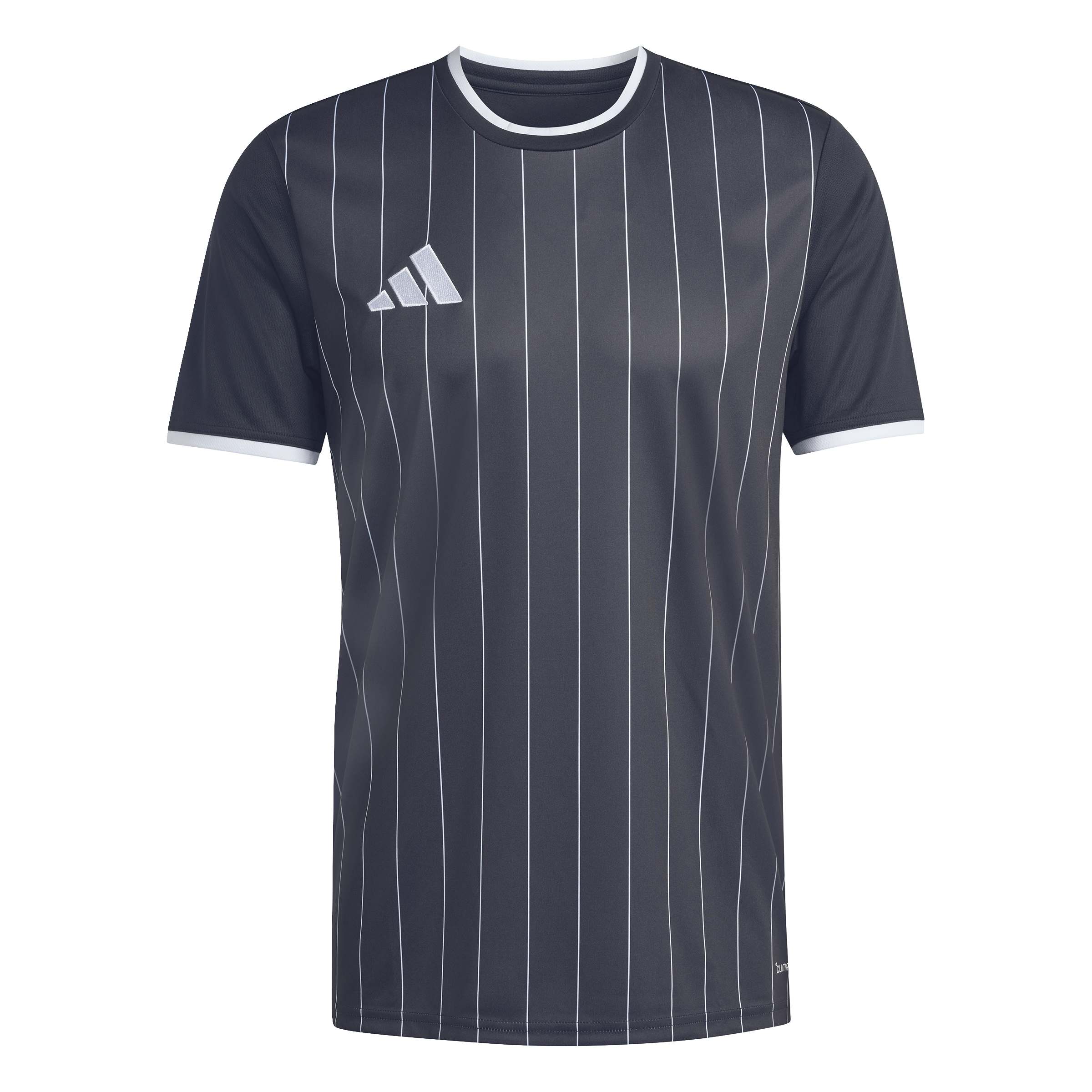 Entrada26 Graphic Jersey 10