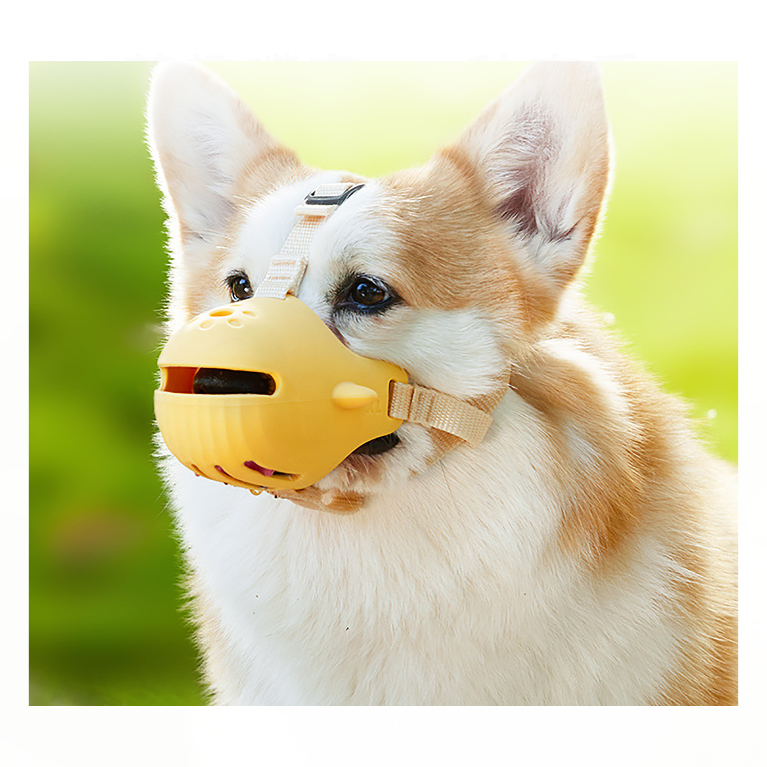 Dog Muzzles 4