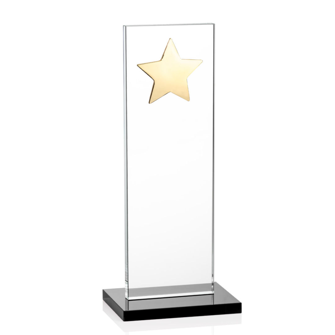 Dallas Star Award - Black/Gold 5