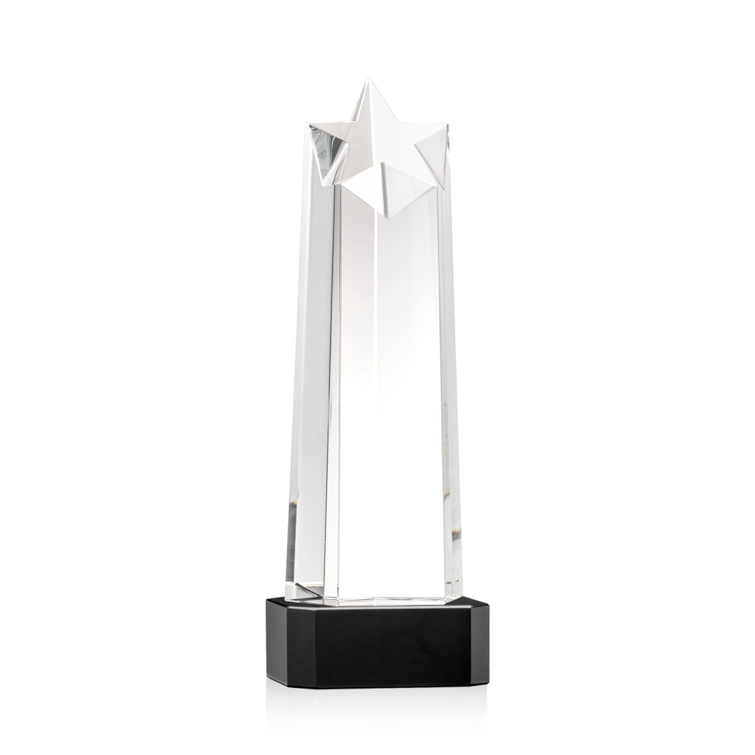 Delaware Star VividPrint™ Award on Base - Black 4