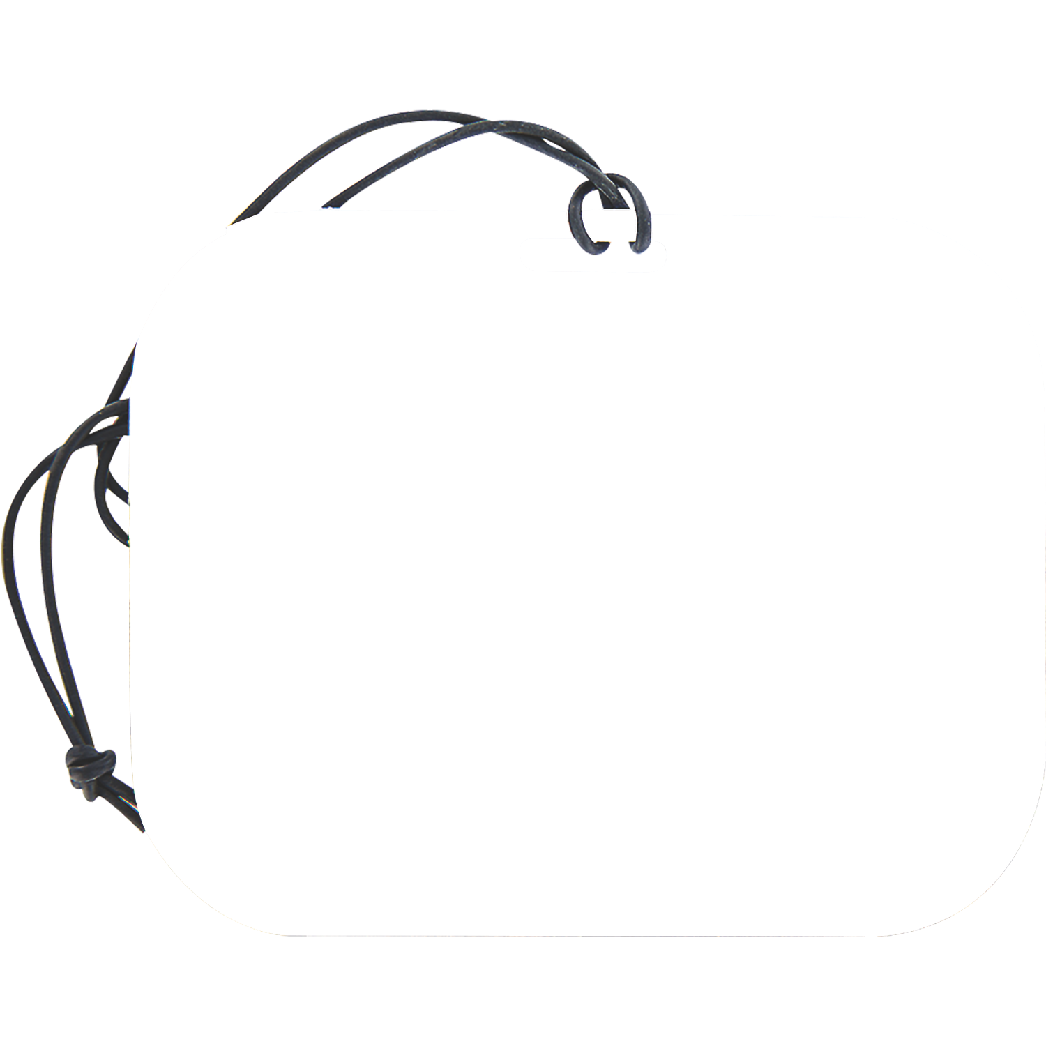 Quick Turn Large Bag Tag 2