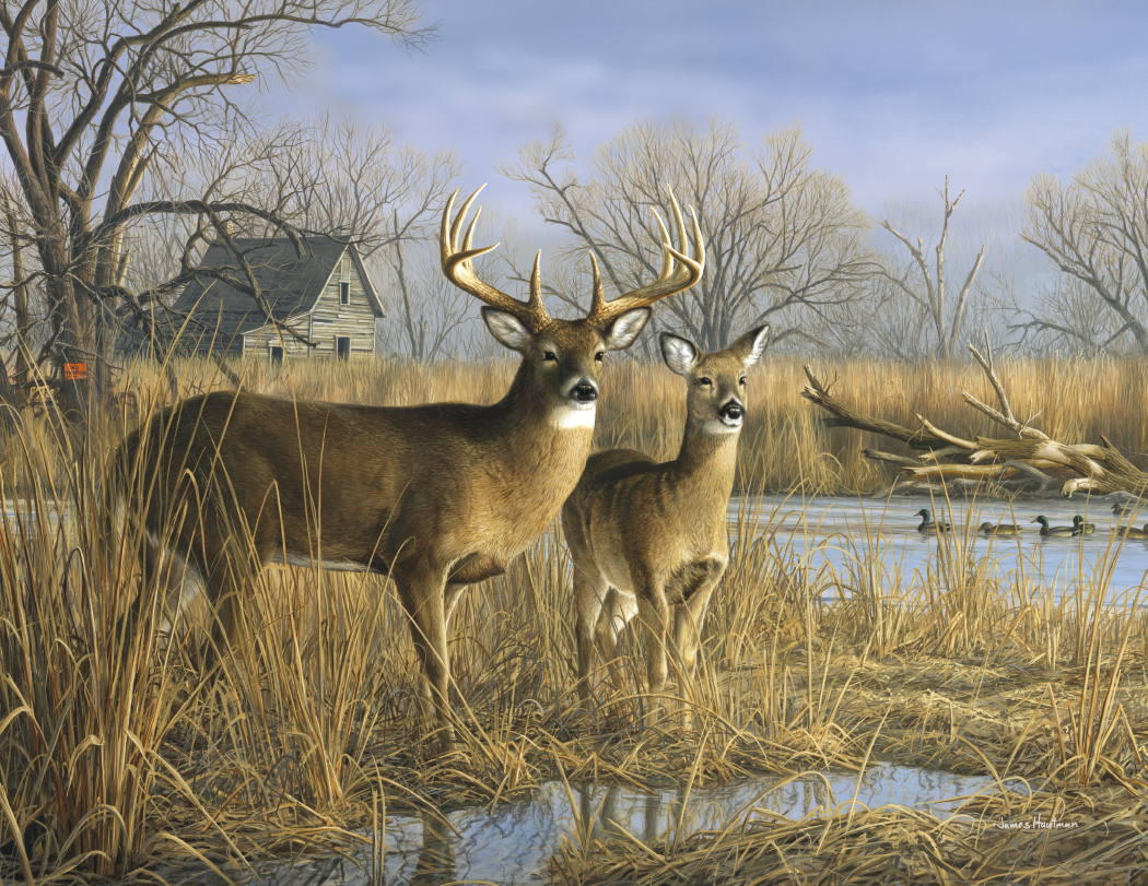 Triumph® Calendars Wildlife Art by the Hautman Brothers Calendar 10