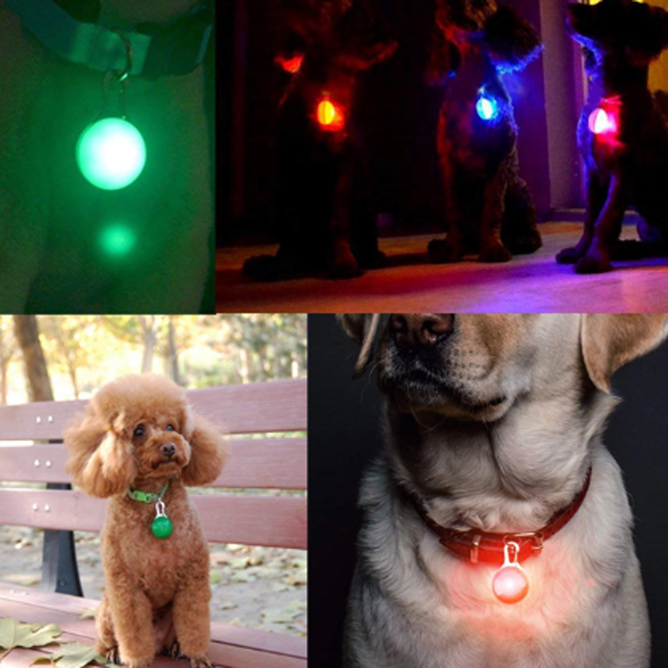 Clip-On Dog Lights for Night Walking & Camping 3