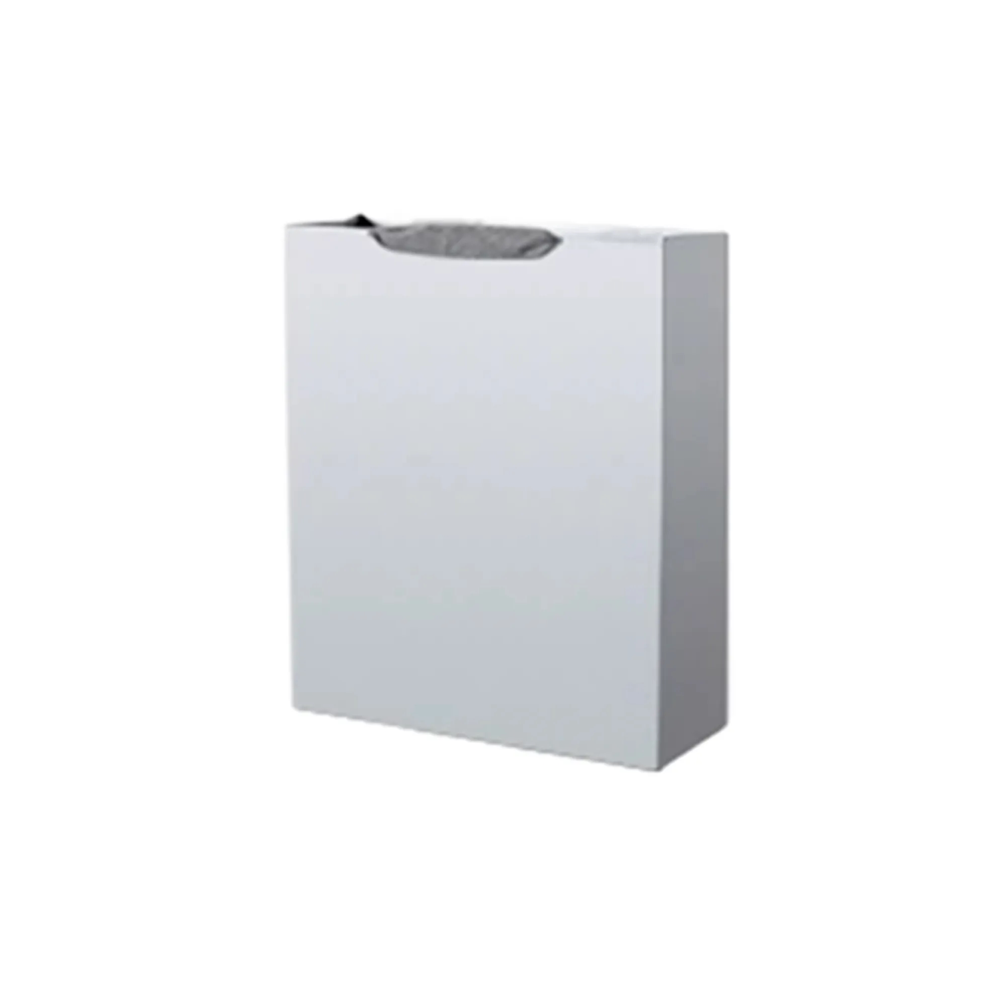 White Card Paper Bag 11