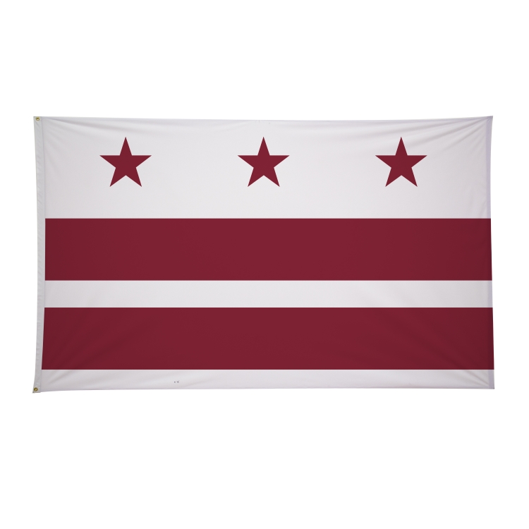 6' x 10' State Flags 41