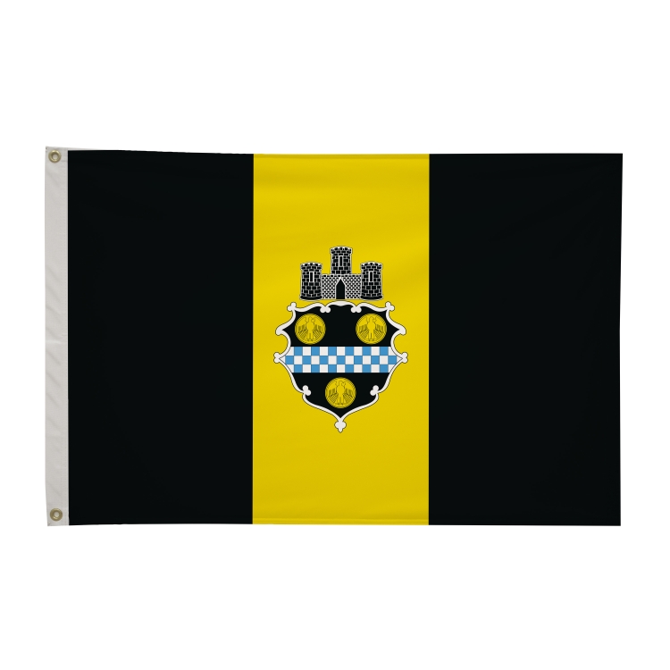 2' x 3' City Flags 85