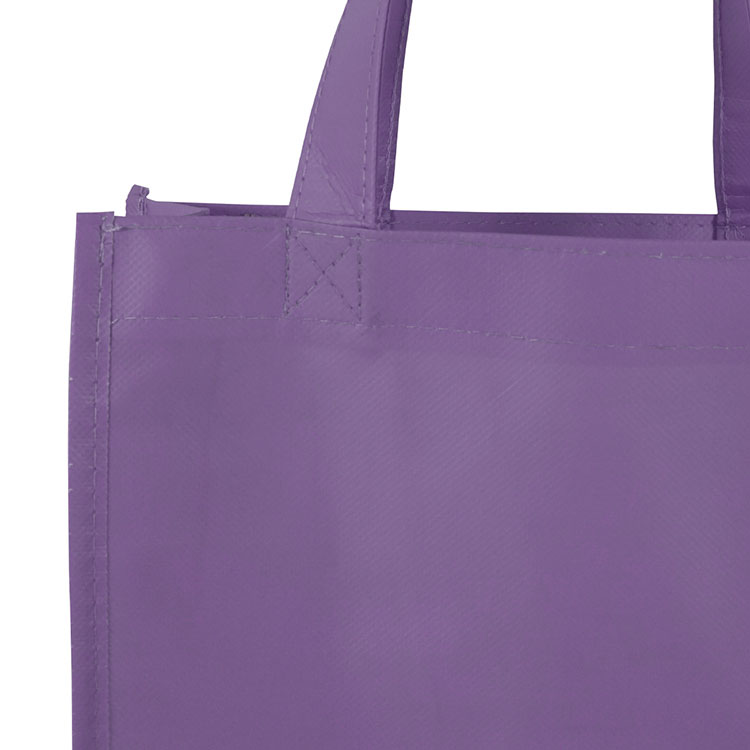 Sundale Small Matte Laminated Tote Bag 4