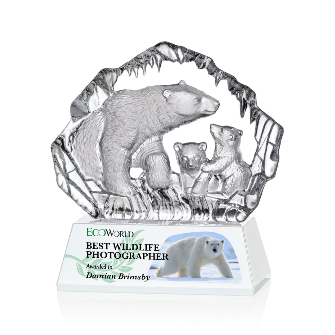 Ottavia Polar Bears VividPrint™ Award 18